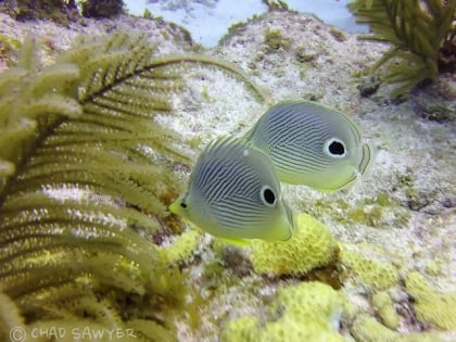 Capt. Hook's Marina & Dive Center