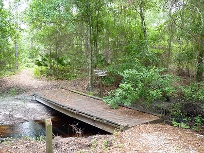 pasco palms preserve