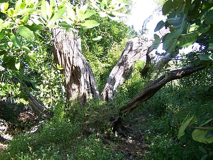 Bosque y jardín botánico de Cayo Hueso