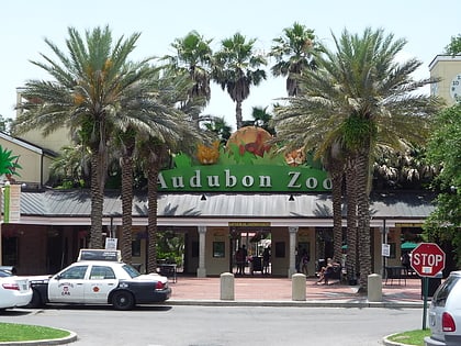 audubon zoo nowy orlean