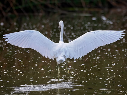 Andree Clark Bird Refuge