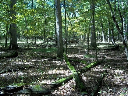 Ned Brown Forest Preserve