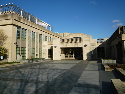 tisch library arlington