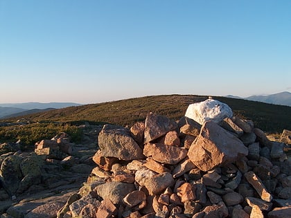 mount guyot foret nationale de white mountain