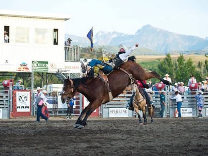 roundup rodeo livingston