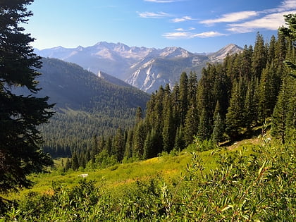 parc national de kings canyon