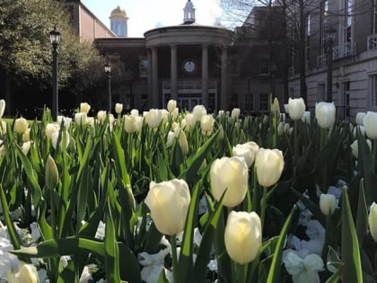 SMU Fondren Library