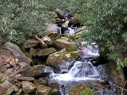 foothills trail bosque nacional sumter