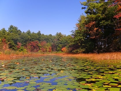 hampton ponds state park westfield