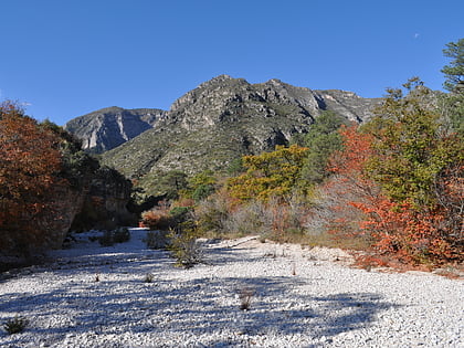 mckittrick canyon park narodowy guadalupe mountains