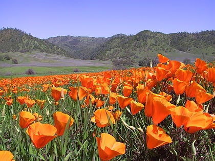 berryessa snow mountain national monument foret nationale de mendocino