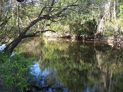park stanowy little manatee river