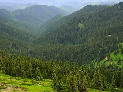 bohemia mountain foret nationale dumpqua