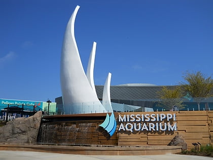 mississippi aquarium gulfport