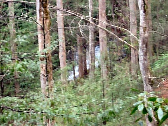 slick rock falls pisgah national forest