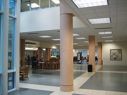 shields library davis