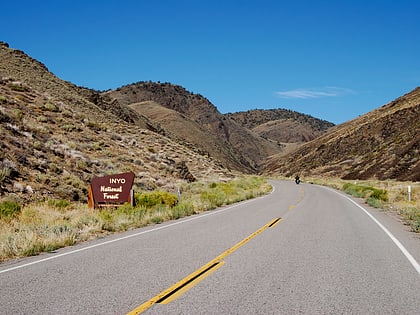 westgard pass bosque nacional de inyo