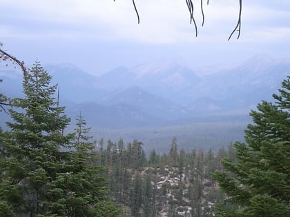 golden trout wilderness