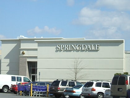 springdale mall mobile