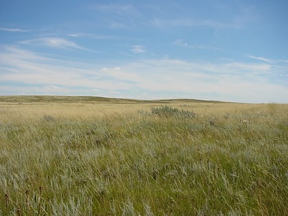 Prairies d'herbes courtes du Nord