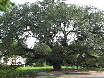 the big oak thomasville