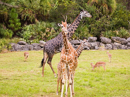 brevard zoo melbourne