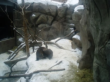 Minnesota Zoo