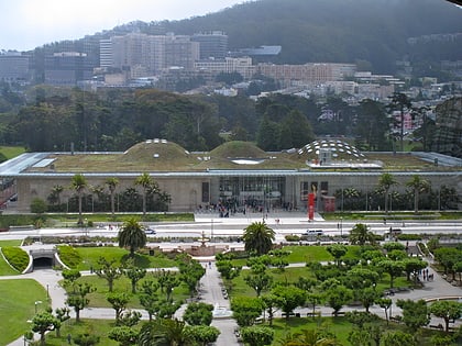 california academy of sciences san francisco