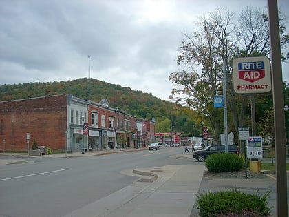 Port Allegany