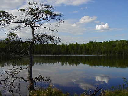 Park Stanowy Lake Bemidji