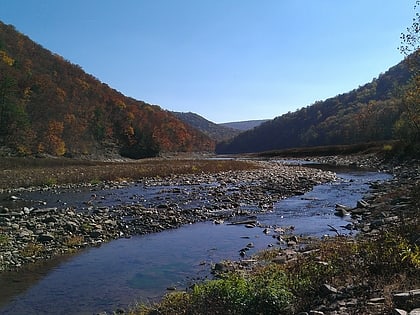 savage river state forest
