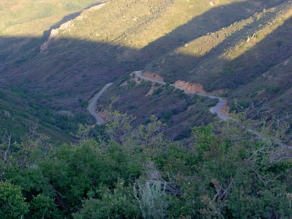 big mountain pass wasatch cache national forest