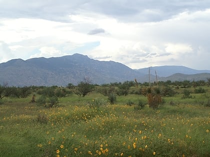 Sierra del Rincón