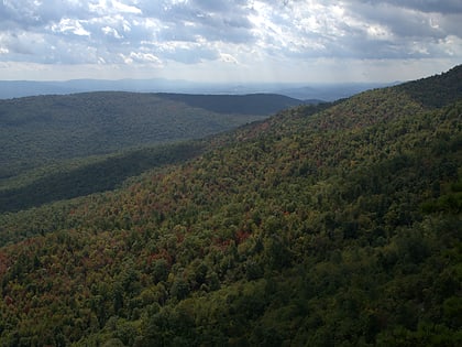 forets nationales de george washington et de jefferson