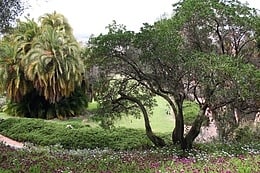 Parc Presidio