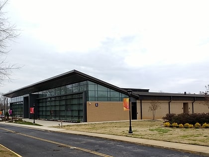 york technical college rock hill