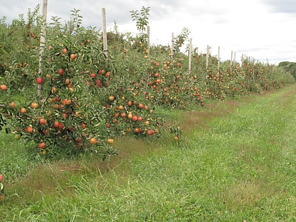 bishops orchards guilford