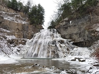 delphi falls cazenovia