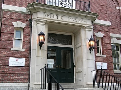semitic museum boston