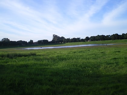 lake lagunita palo alto