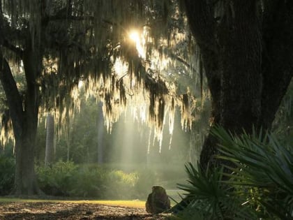 sholom park ocala