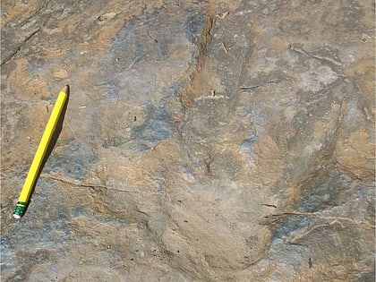 dinosaur footprints holyoke