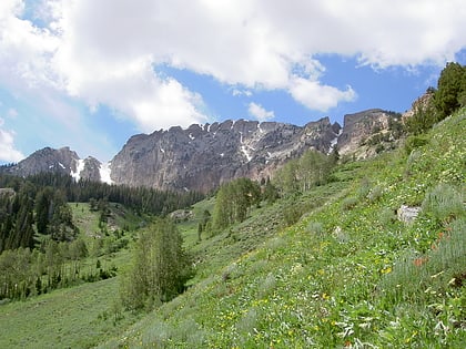 deseret peak wilderness