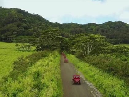 kauai atv koloa