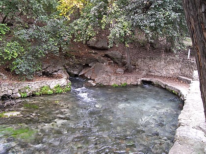 Comal Springs