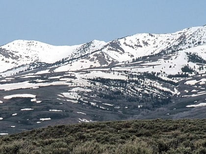 independence mountains bosque nacional humboldt toiyabe