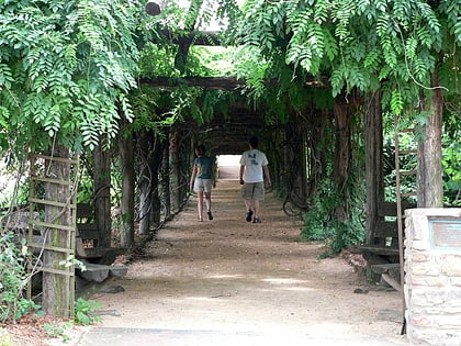 coker arboretum chapel hill
