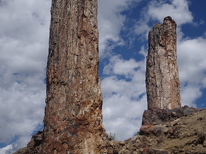 amethyst mountain parque nacional de yellowstone