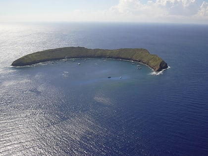isla molokini hawaiian islands humpback whale national marine sanctuary