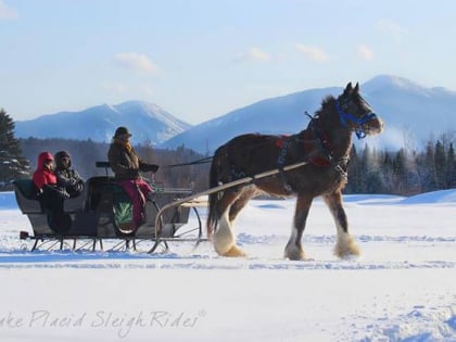 lake placid horse drawn sleigh rides burlington